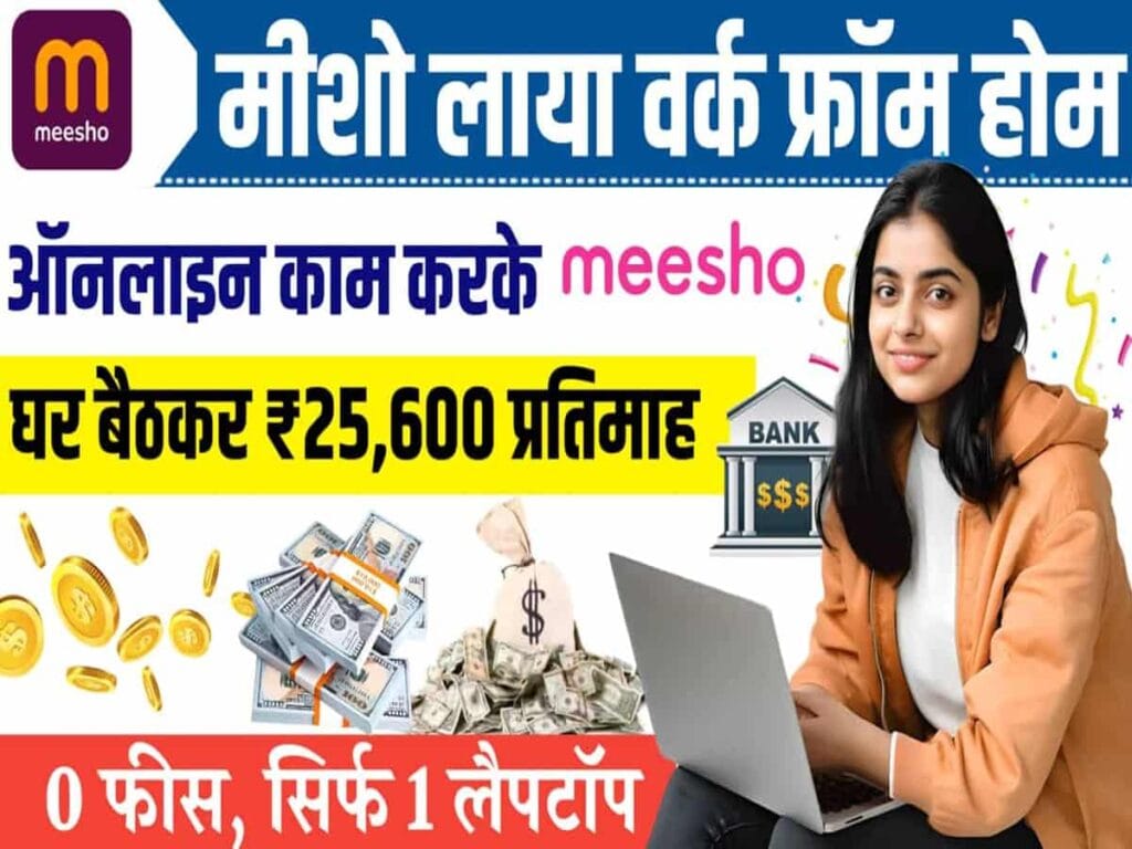 Meesho Work From Home Program